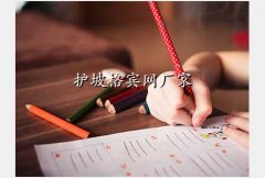 ŵ泧