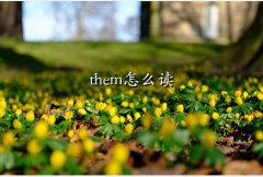 theme