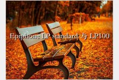 epiphone lp100