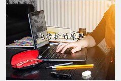 豸