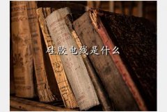 轺