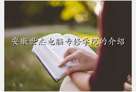 安徽世杰电脑专修学院的介绍