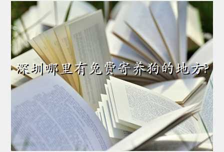 深圳哪里有免费寄养狗的地方?