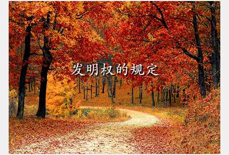 发明权的规定