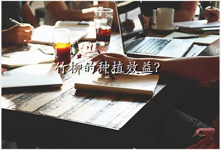 竹柳的种植效益?