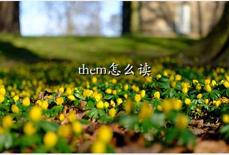 them怎么读