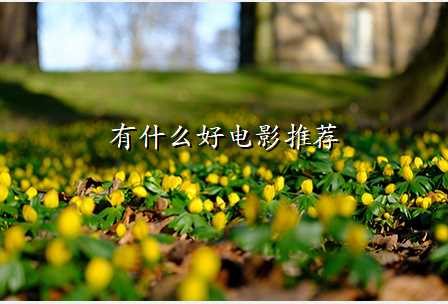 有什么好电影推荐