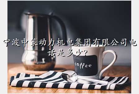 宁波中策动力机电集团有限公司电话是多少?