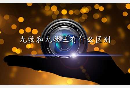 九牧和九牧王有什么区别