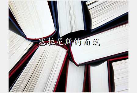 塞拉尼斯的面试