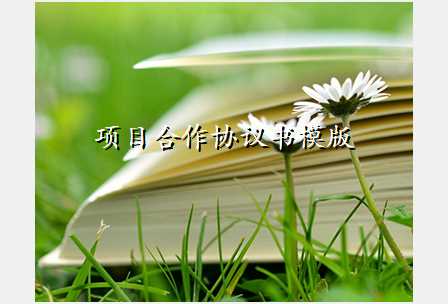 项目合作协议书模版