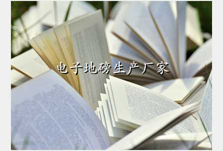 电子地磅生产厂家