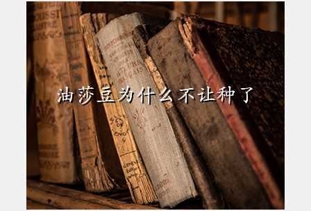 油莎豆为什么不让种了