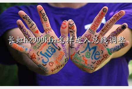 长虹h2999kba怎样进入总线调整