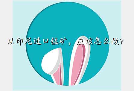 从印尼进口锰矿,应该怎么做?