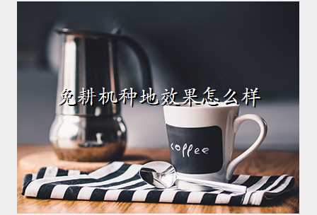 免耕机种地效果怎么样