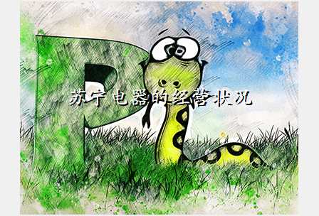苏宁电器的经营状况