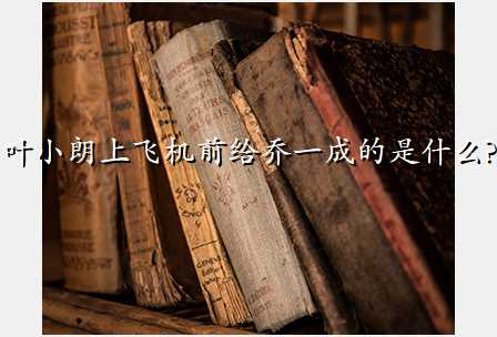 叶小朗上飞机前给乔一成的是什么?