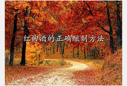红曲酒的正确酿制方法