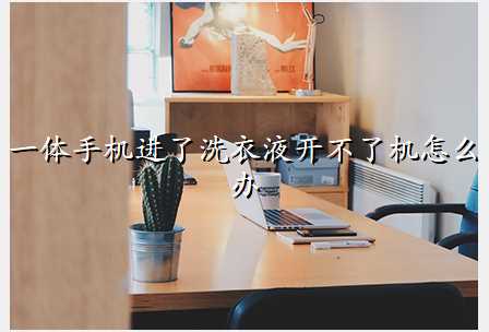 一体手机进了洗衣液开不了机怎么办