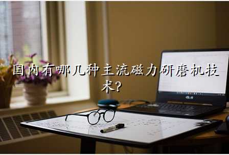 国内有哪几种主流磁力研磨机技术?