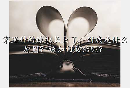 家里种的辣椒长虫了,到底是什么原因?该如何防治呢?