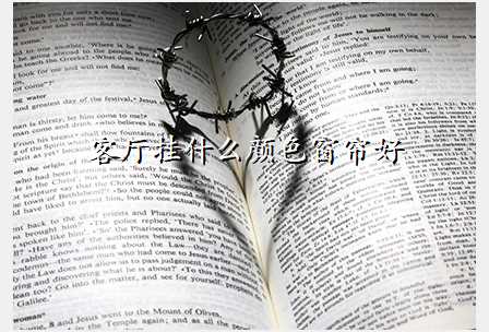 客厅挂什么颜色窗帘好