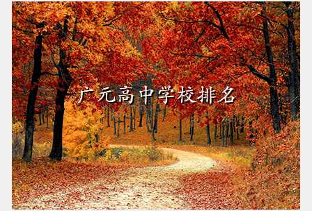 广元高中学校排名