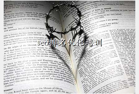 seo排名优化培训