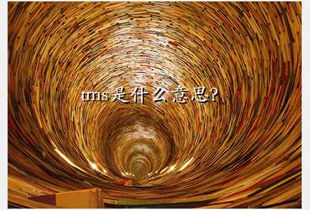 tms是什么意思?