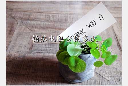 铂热电阻含铂多少